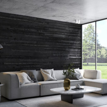 Black Sand Barnwood Planks