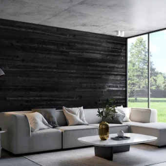 Black Sand Barnwood Planks