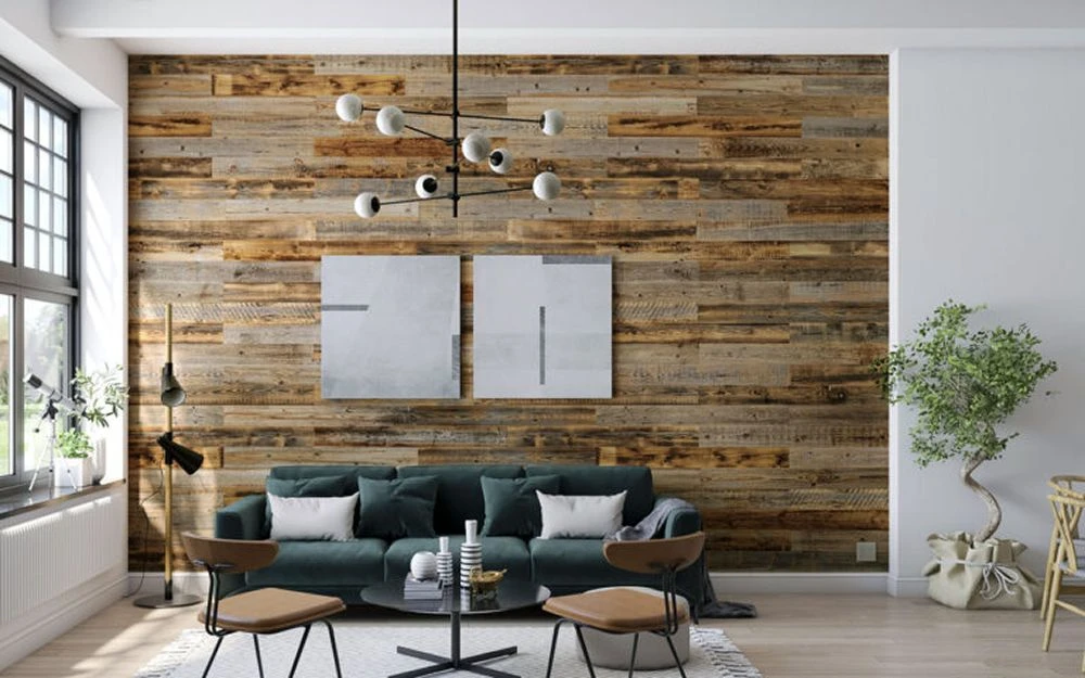 Car Siding vs Shiplap: Which Should You Choose?