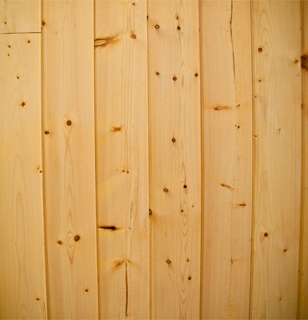 Insects