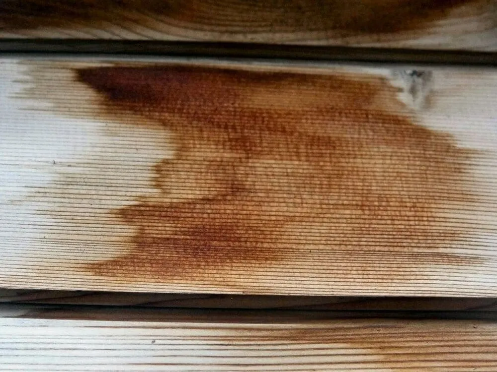 Choose the Stain